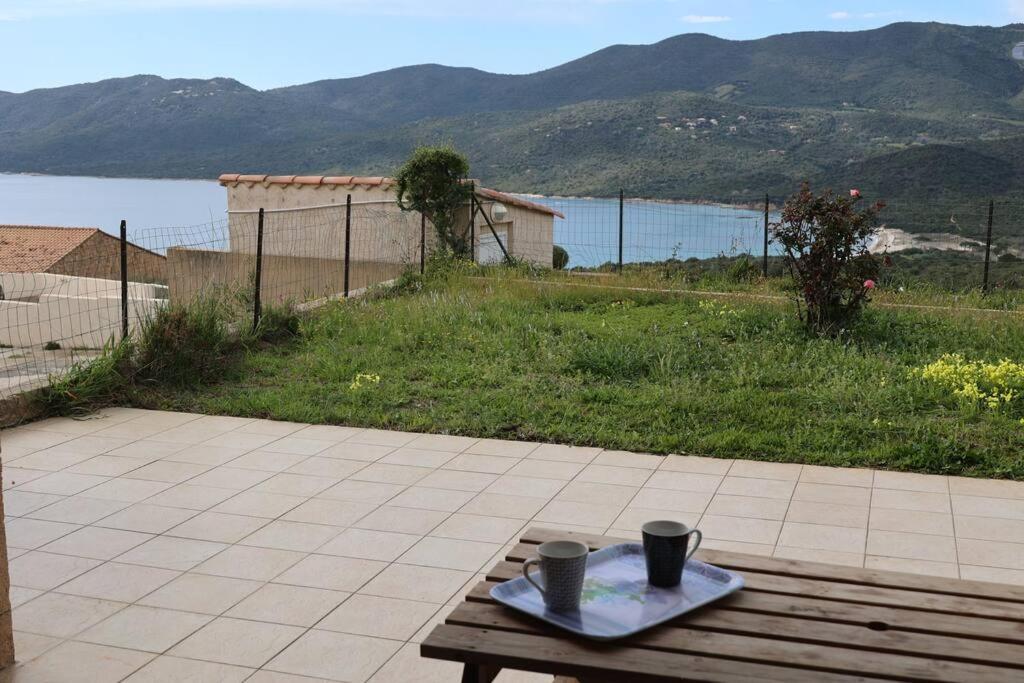 Chez Adrien 108-Appartement Magnifique Vue Mer Piscine Chauffee Serra-di-Ferro  Ngoại thất bức ảnh